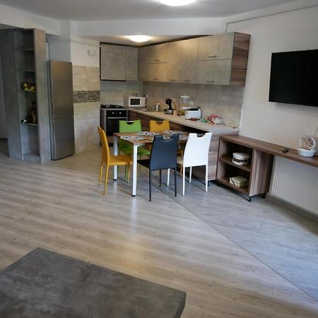Riky Apart Mountain View Διαμέρισμα Σινάια Εξωτερικό φωτογραφία
