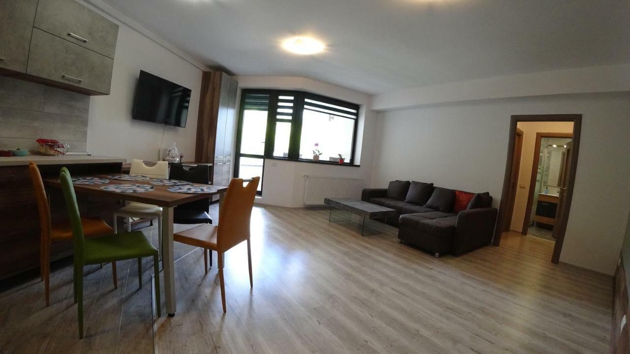 Riky Apart Mountain View Διαμέρισμα Σινάια Εξωτερικό φωτογραφία