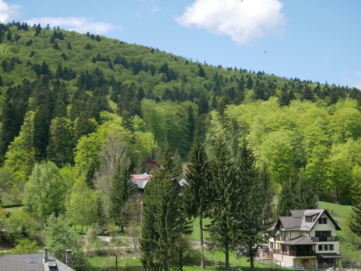 Riky Apart Mountain View Διαμέρισμα Σινάια Εξωτερικό φωτογραφία