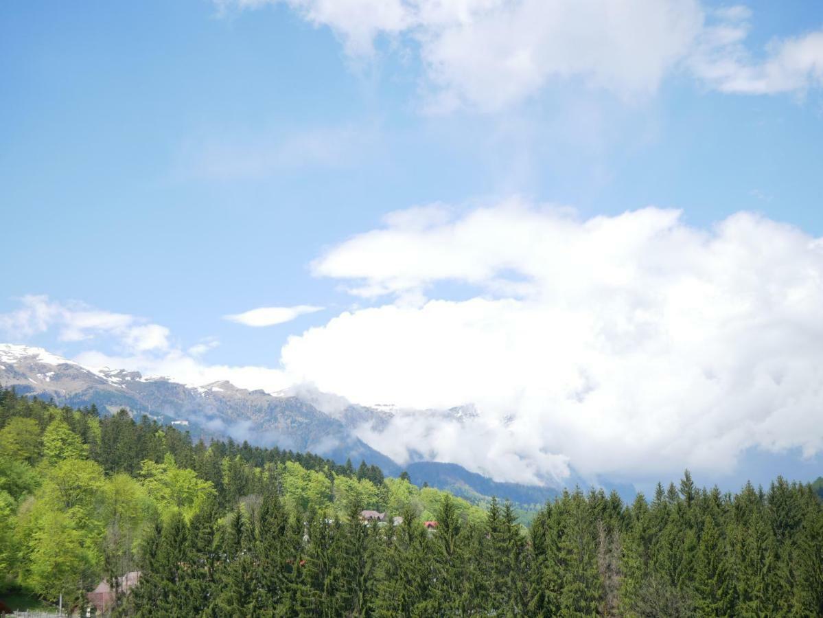 Riky Apart Mountain View Διαμέρισμα Σινάια Εξωτερικό φωτογραφία