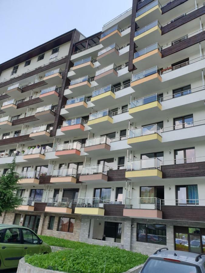 Riky Apart Mountain View Διαμέρισμα Σινάια Εξωτερικό φωτογραφία