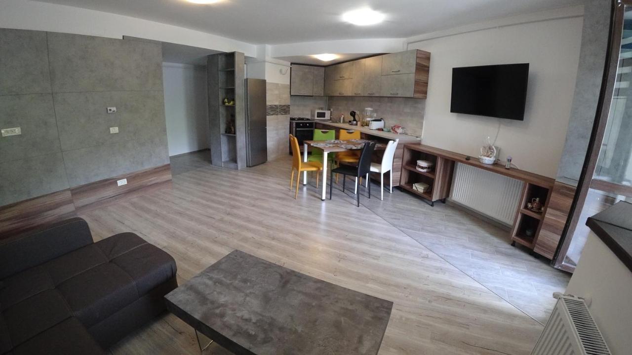 Riky Apart Mountain View Διαμέρισμα Σινάια Εξωτερικό φωτογραφία